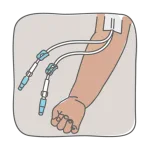 vascular access icon