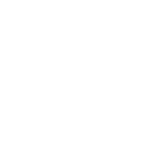 Connected Care care coordination white icon