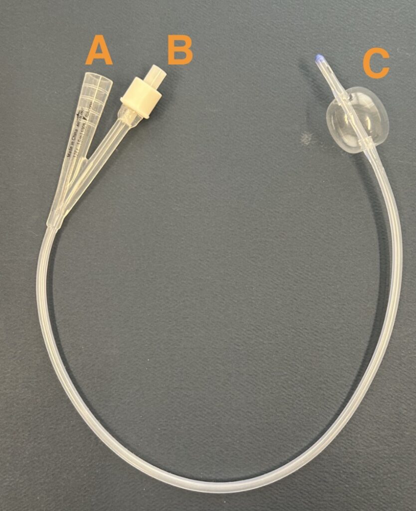 How to maintain an indwelling urinary catheter to prevent infection? screenshot