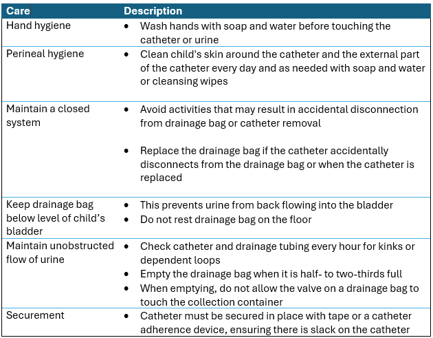 How to maintain an indwelling urinary catheter to prevent infection? screenshot 2026 05 29 141824