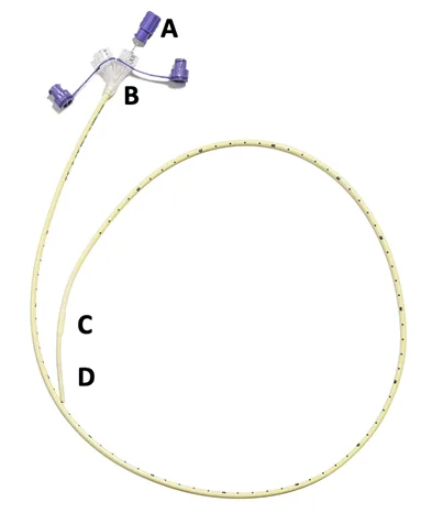 Why use a guidewire for nasogastric (NG) tube insertion? Ng tube showing guidewire, main and side ports, exit port, and weighted tip